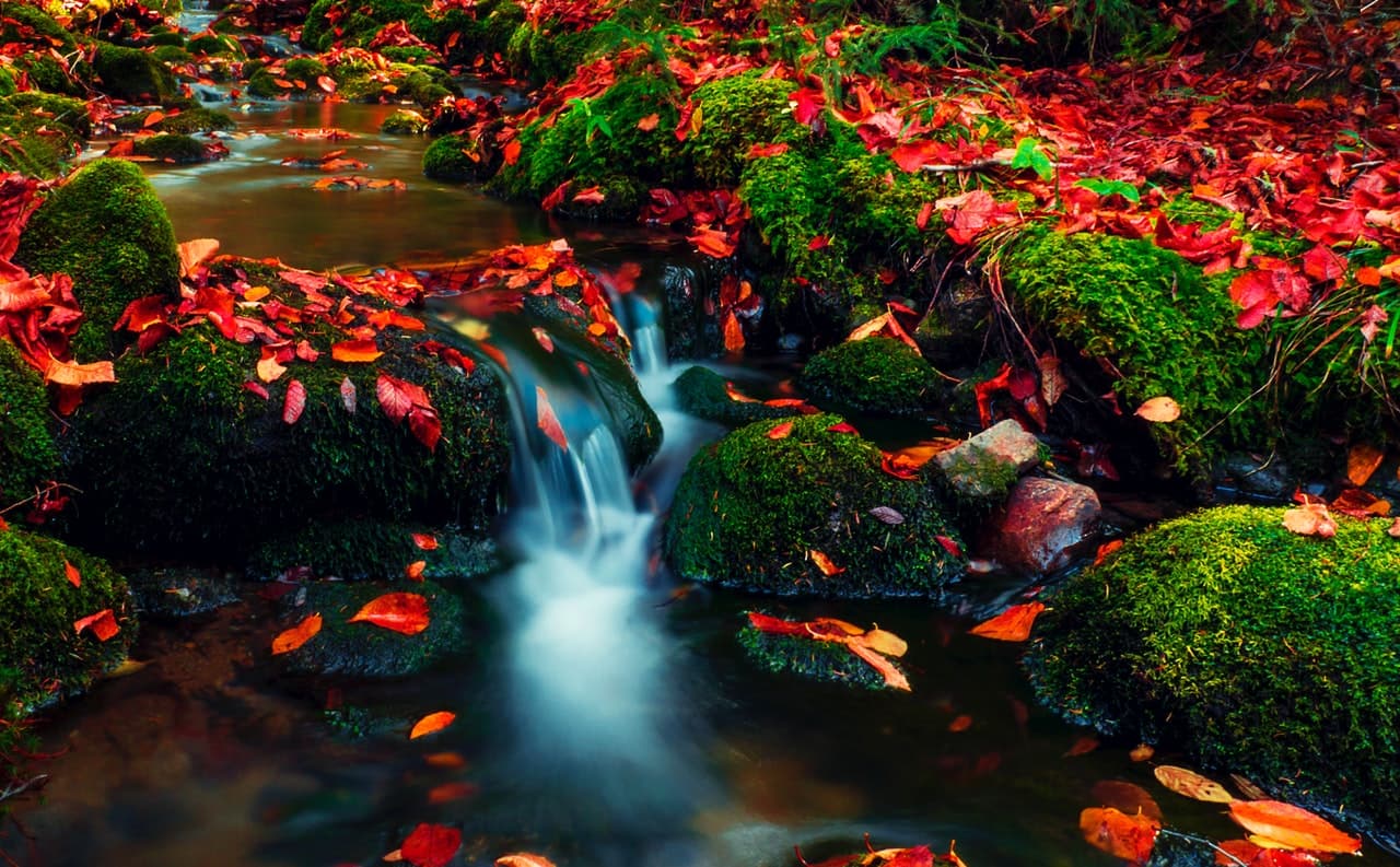 A real-world example of a Stream Collector